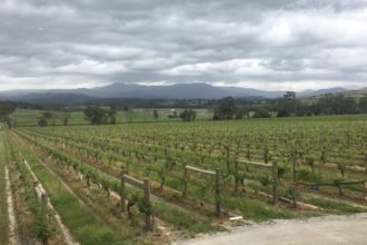 YARRA YERING VINEYARDS Victoria